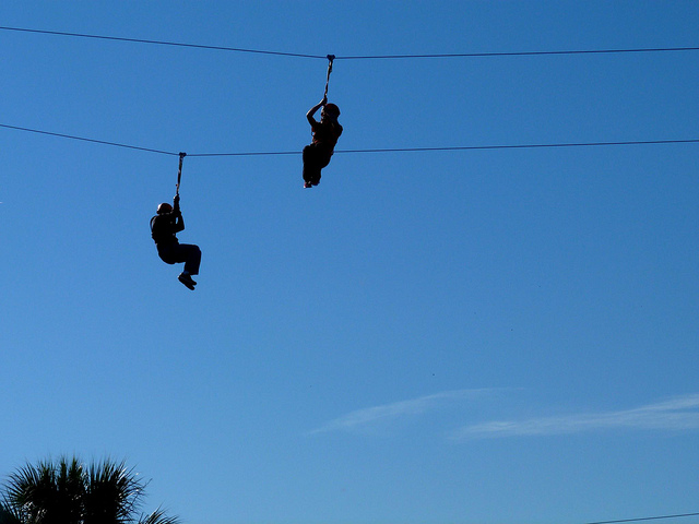 Zip line over alligators at Gatorland, try these activities in Orlando