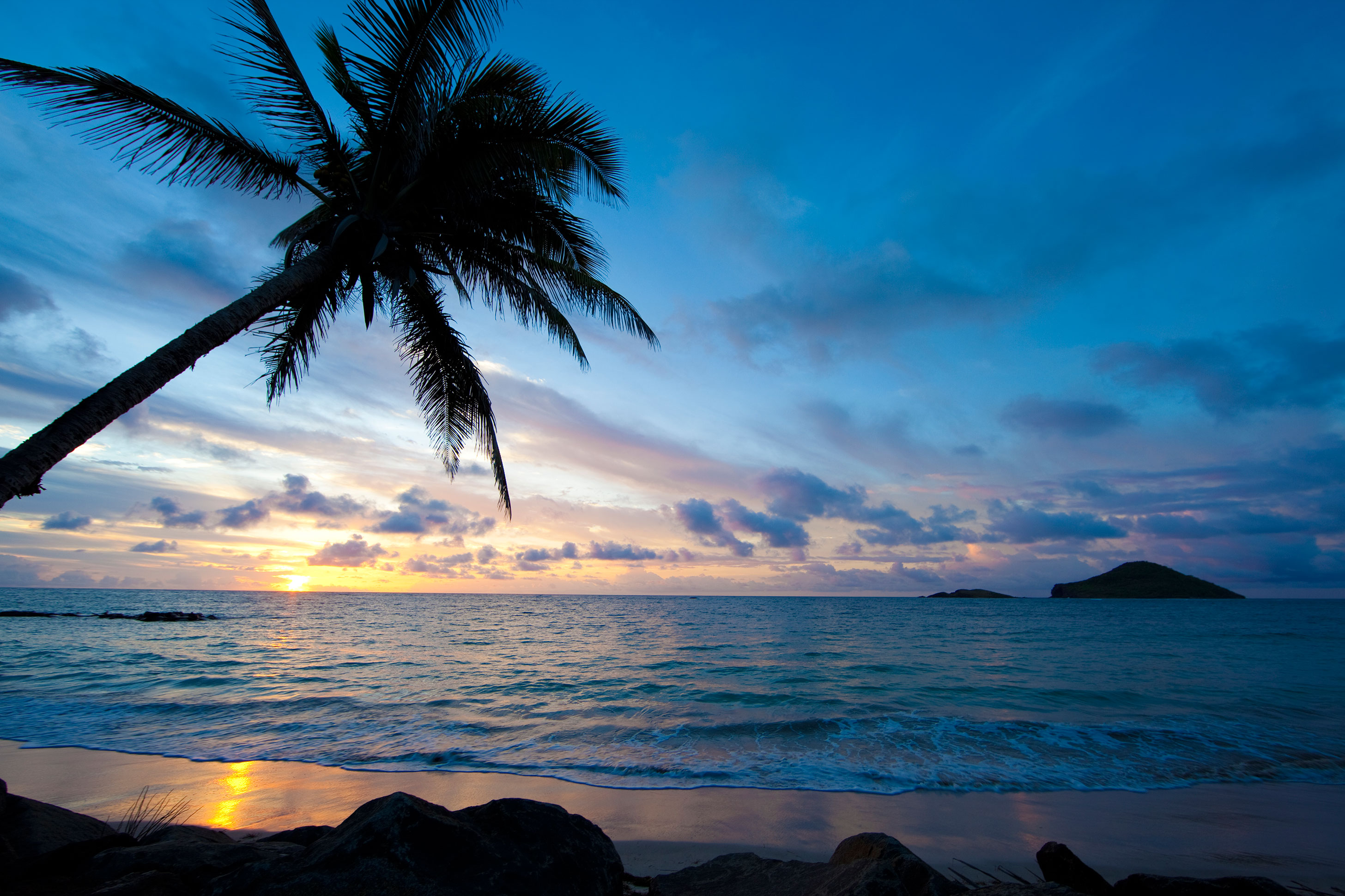 Coconut Bay's stunning Caribbean views.