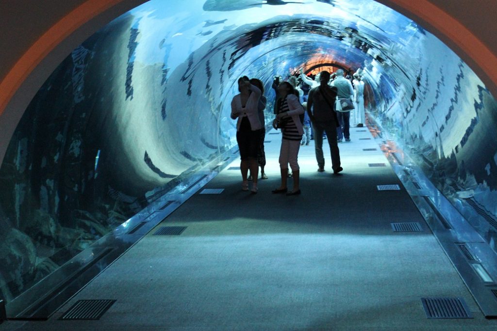 Visit the aquarium in the record breaking Dubai