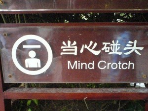 draft_lens4645462module34952562photo_1242885006funny-chinese-signs-5-1