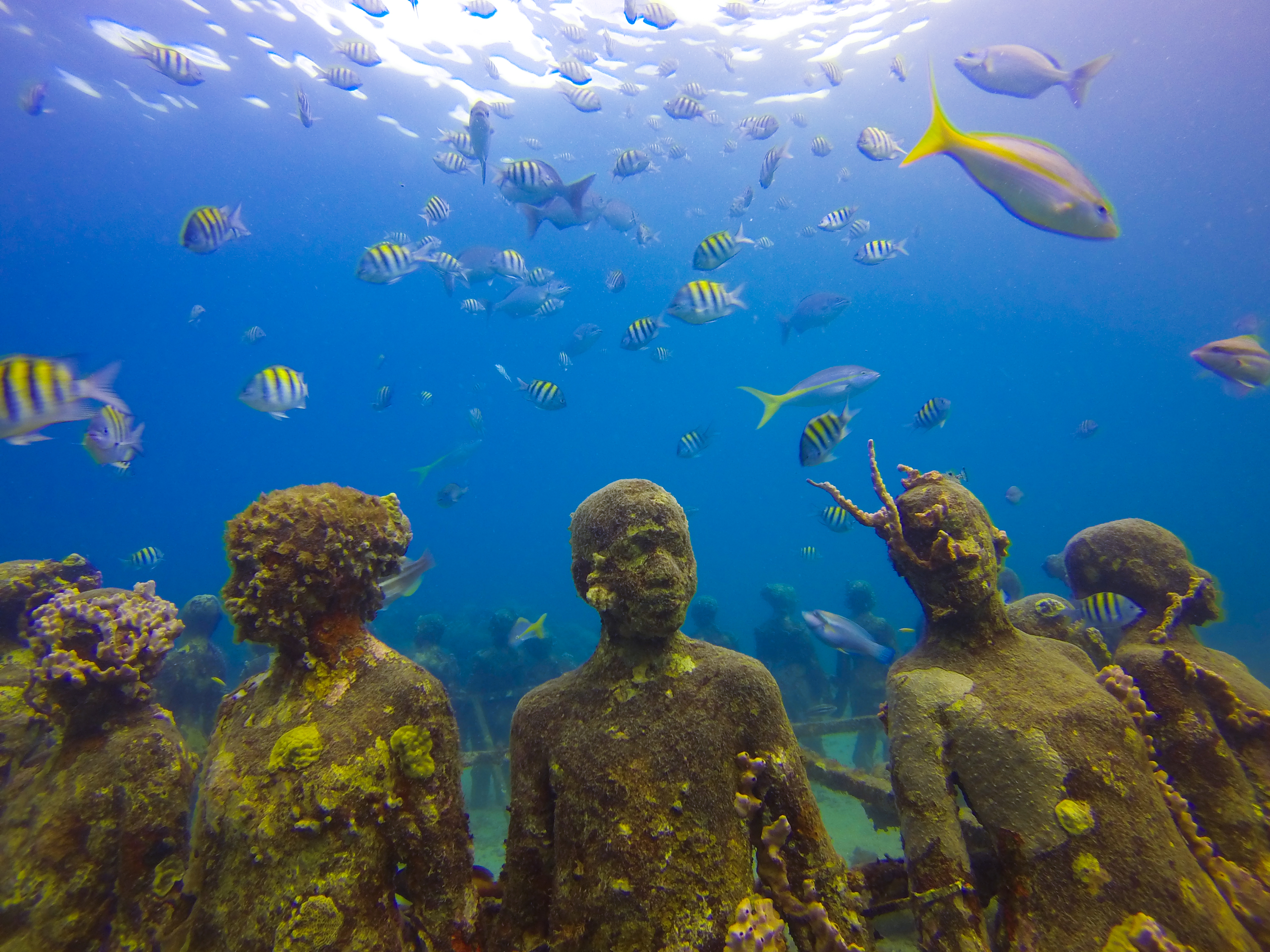 Grenada underwater sculpture park